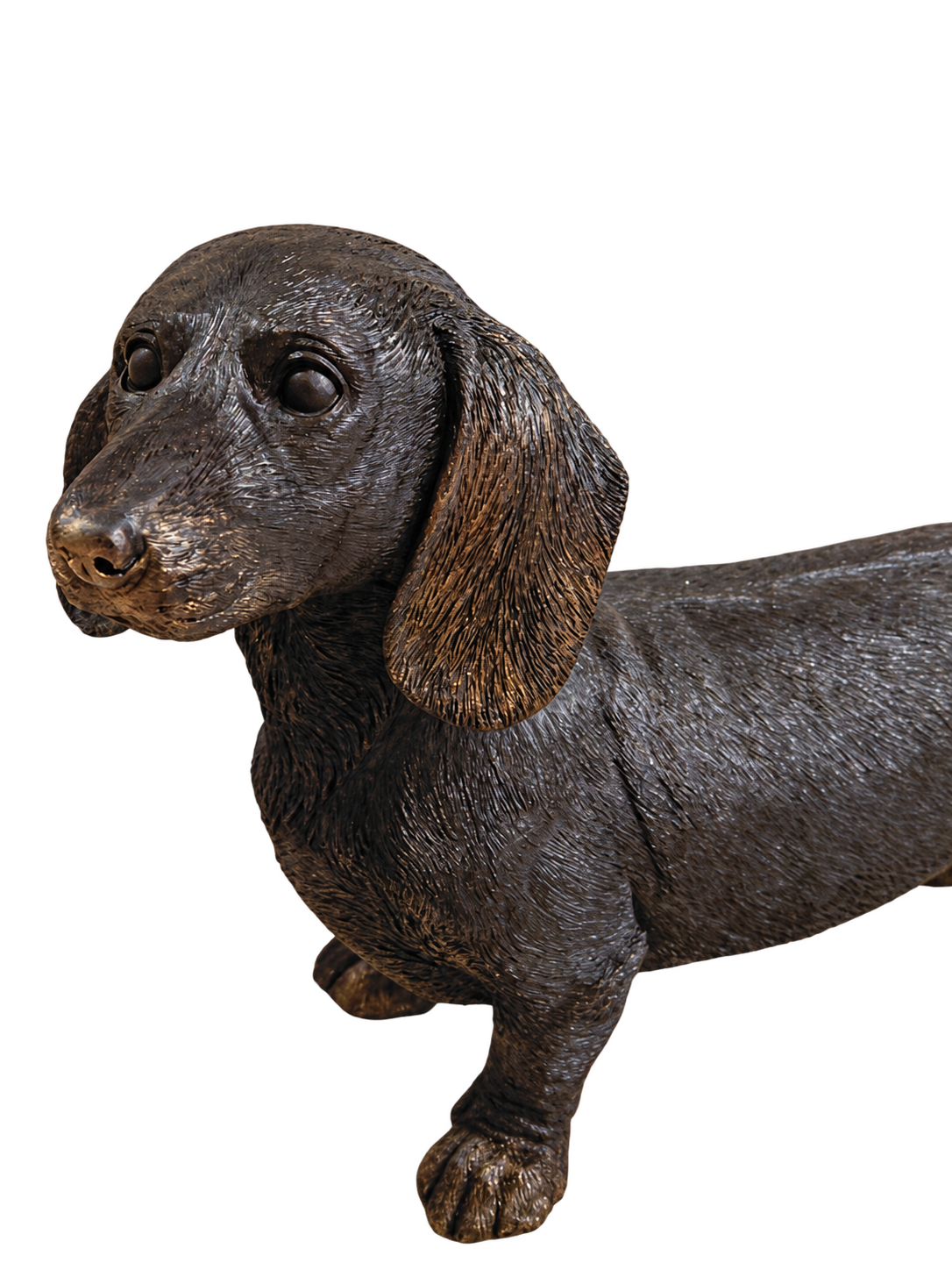 Detalle del rostro y las orejas de la figura de perro salchicha en marmolina